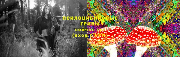2c-b Абинск