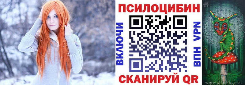 купить  сайты  Агрыз  Псилоцибиновые грибы мицелий 
